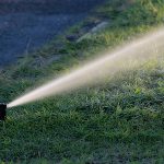 water, watering, garden, summer, nature, irrigation